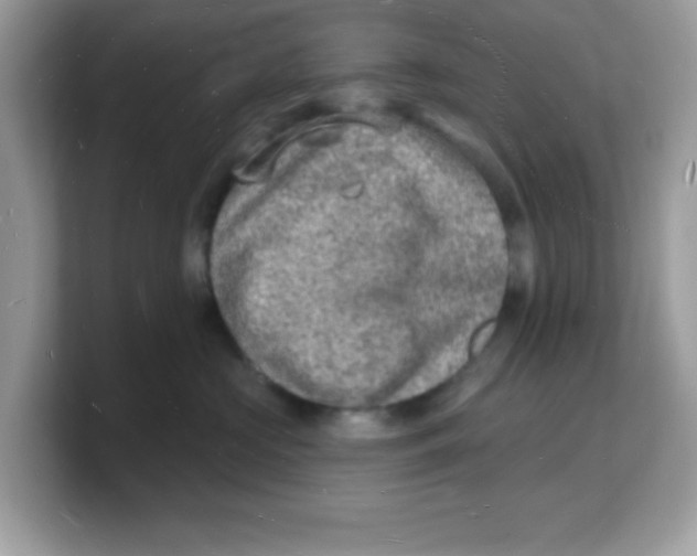 X0000103240573200809181546