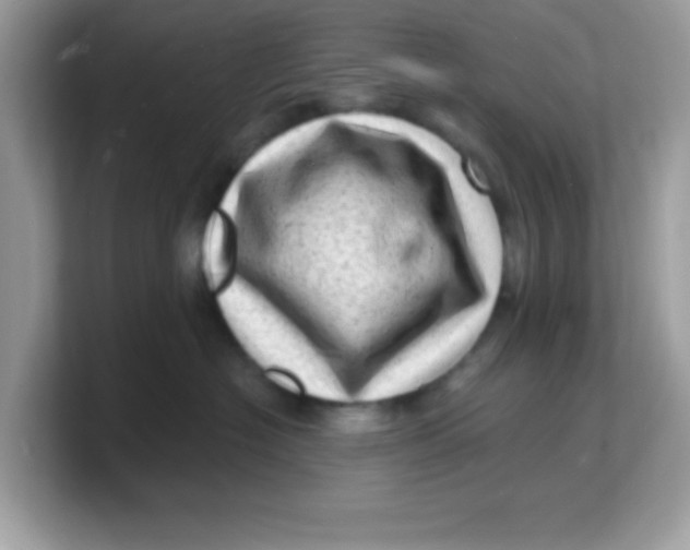 X0000103240574200809181546