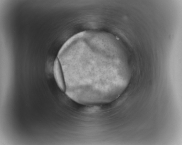 X0000103240576200809181546