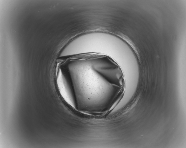 X0000103240577200809181546