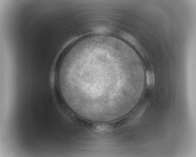 X0000103240579200809181546