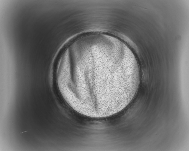 X0000103240580200809181546