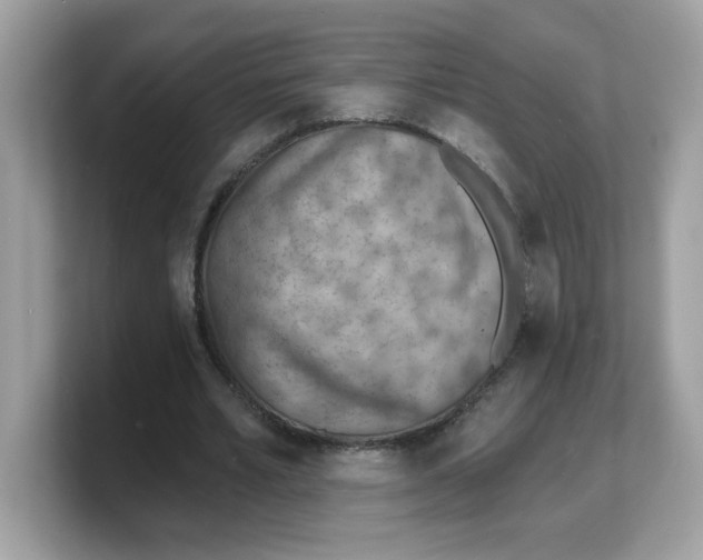 X0000103240581200809181546