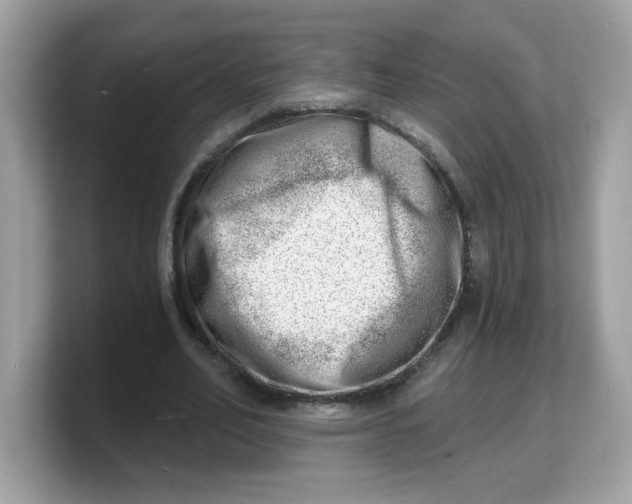 X0000103240582200809181546