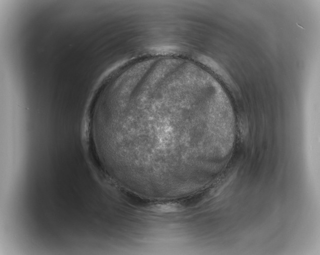 X0000103240583200809181546