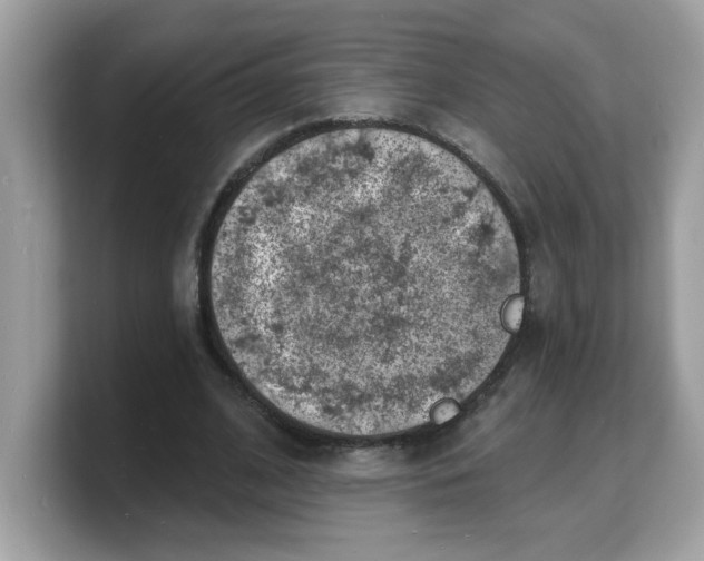 X0000103240584200809181546