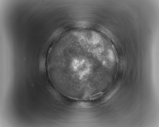 X0000103240585200809181546