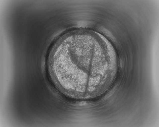 X0000103240588200809181546