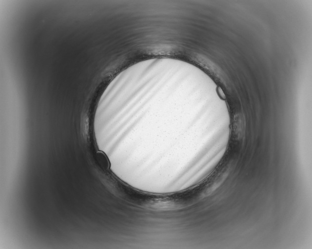 X0000103240589200809181545