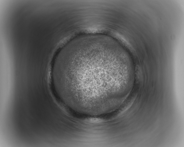 X0000103240590200809181545