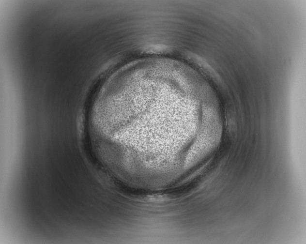 X0000103240591200809181545