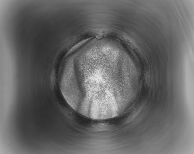 X0000103240594200809181545