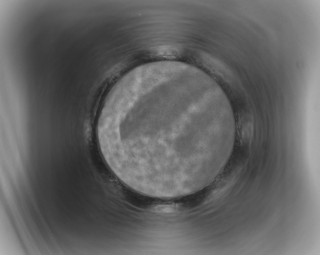 X0000103240595200809181545