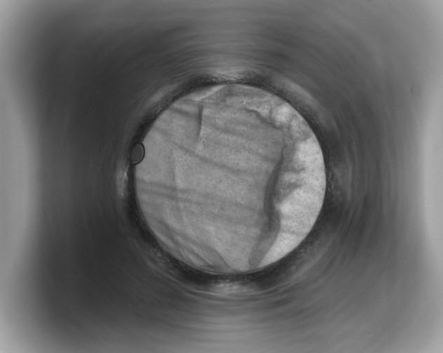 X0000103240596200809181545