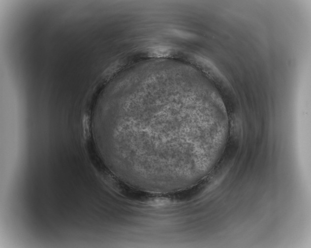 X0000103240598200809181545