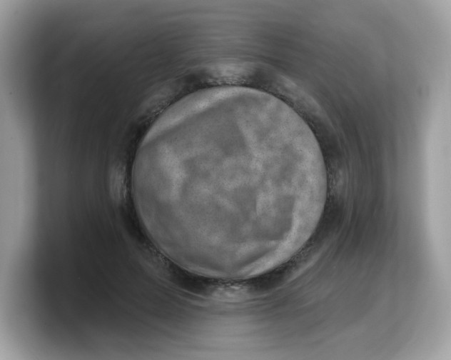 X0000103240599200809181545