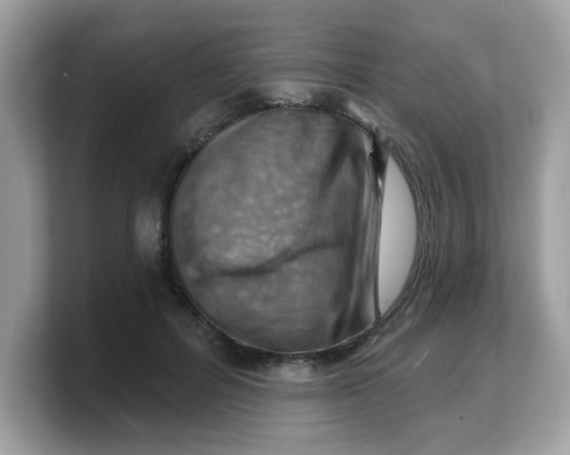 X0000103240600200809181545