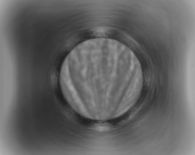 X0000103240603200809181545