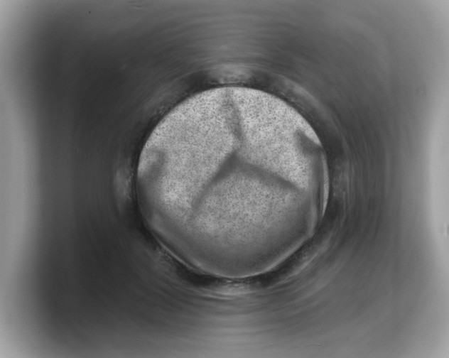 X0000103240604200809181545