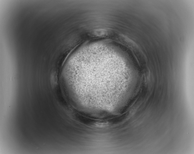 X0000103240606200809181545