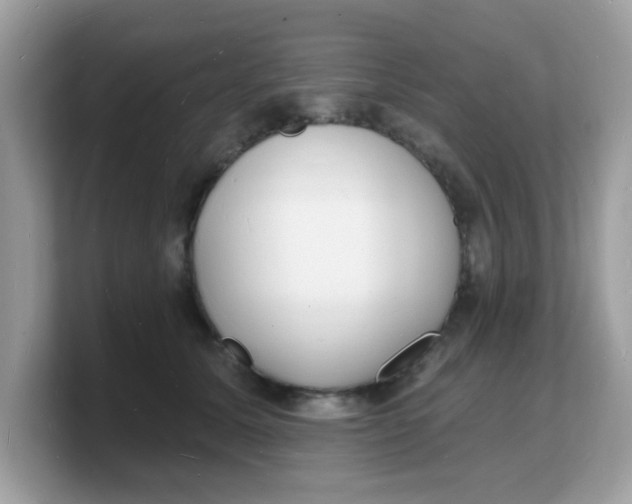 X0000103240611200809181545