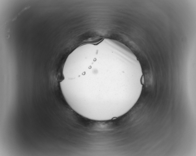 X0000103240613200809181545