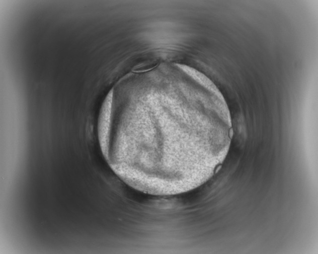 X0000103240615200809181545