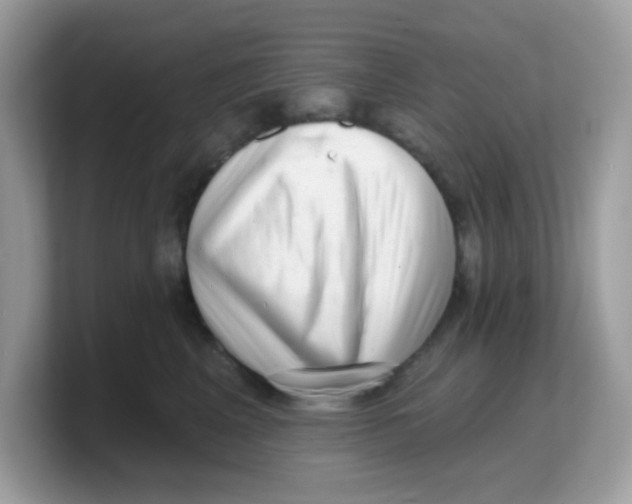 X0000103240617200809181545