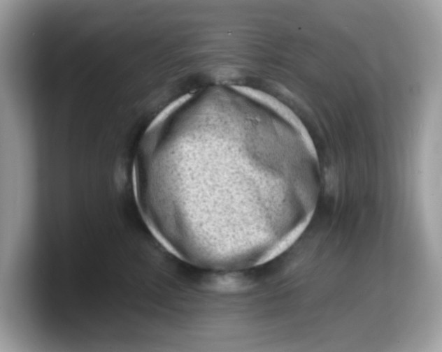 X0000103240618200809181545