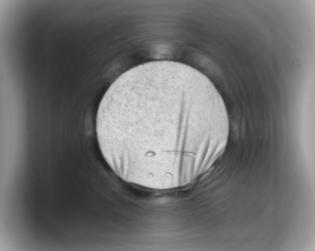 X0000103240620200809181545