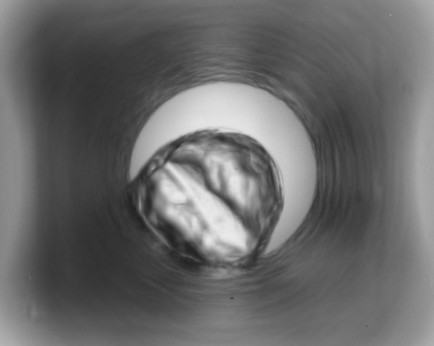 X0000103240621200809181545