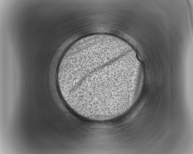 X0000103240625200809181544