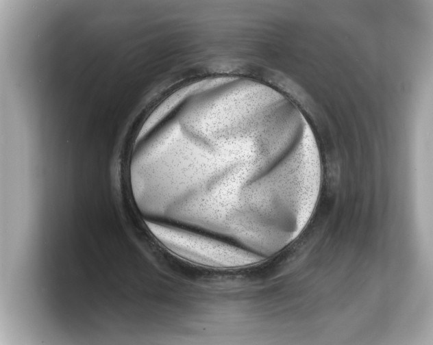 X0000103240626200809181544