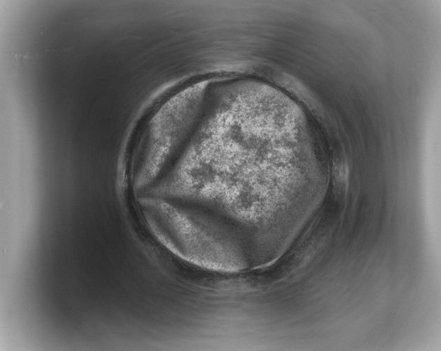 X0000103240628200809181544