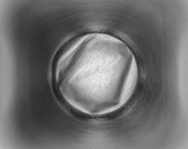 X0000103240630200809181544