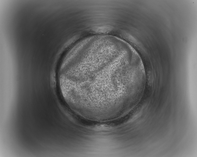 X0000103240634200809181545