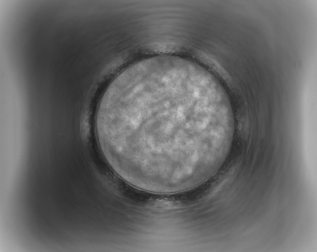 X0000103240635200809181545