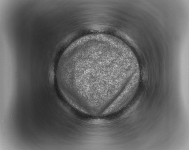 X0000103240637200809181545