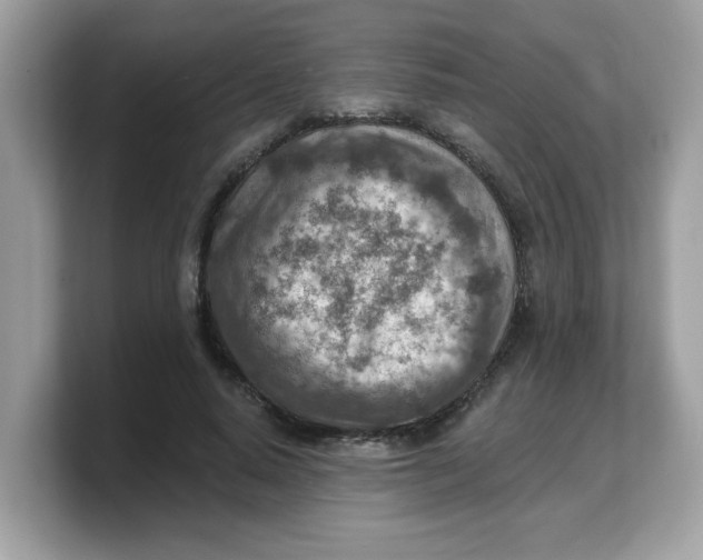 X0000103240640200809181545