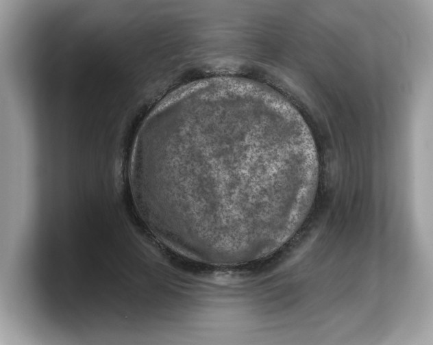 X0000103240641200809181545