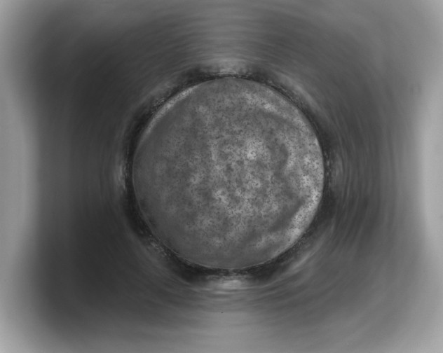 X0000103240643200809181545