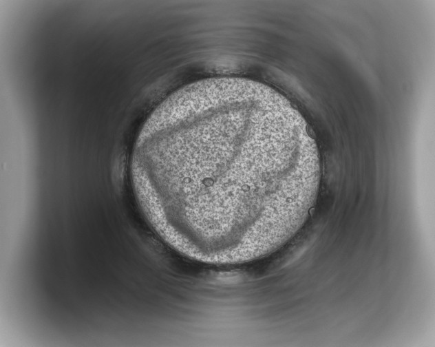 X0000103240645200809181545