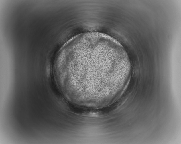 X0000103240647200809181545