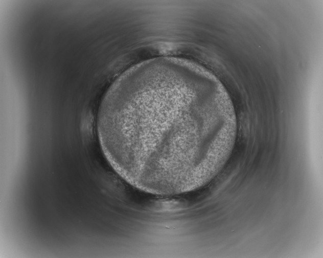 X0000103240650200809181545