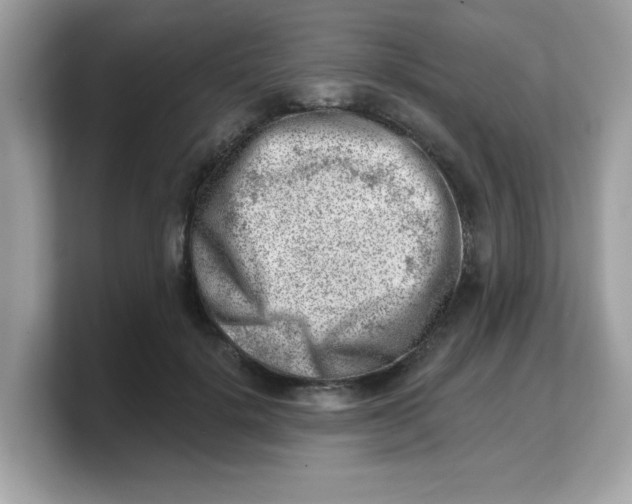 X0000103240652200809181545