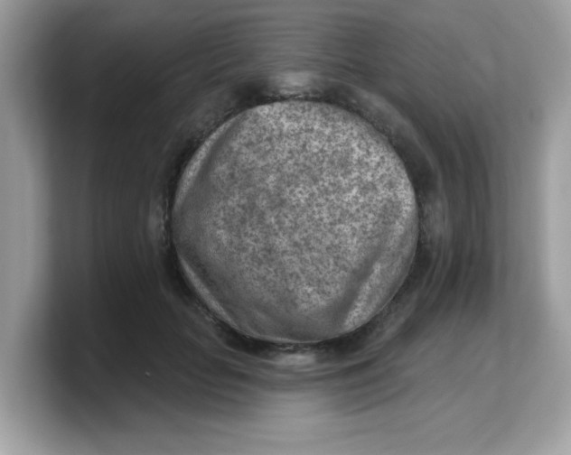 X0000103240653200809181545