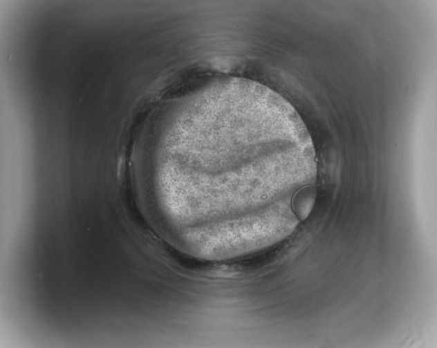 X0000103240656200809181545