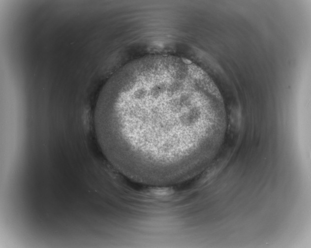 X0000103240659200809181545