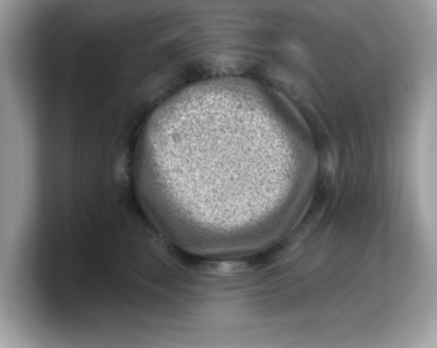 X0000103240663200809181545