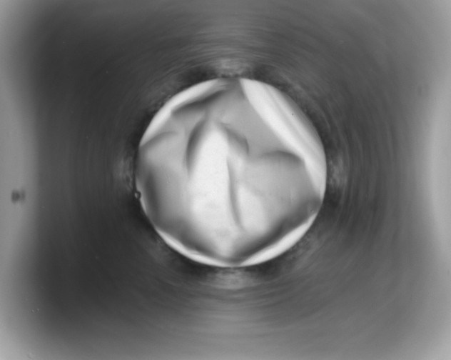 X0000103240666200809181545